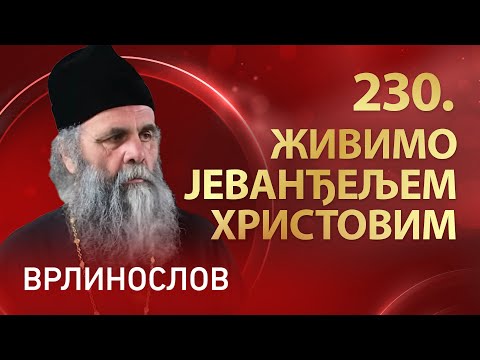 Видео: Врлинослов I Манастир Крушедол, архимандрит Сава