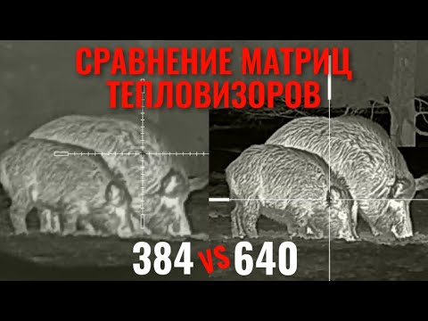 Видео: СРАВНЕНИЕ МАТРИЦ ТЕПЛОВИЗОРОВ 384 vs 640 ТЕПЛОВИЗИОННЫЕ ПРИЦЕЛЫ IRAY GENI GL 35R и IRAY GENI GH 50R