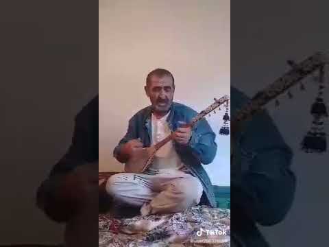 Видео: мулобобои мастчохи