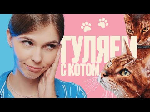 Видео: ПРОГУЛКА С КОТОМ / КАК ПОДГОТОВИТЬСЯ И ЧЕГО ЖДАТЬ ПОСЛЕ