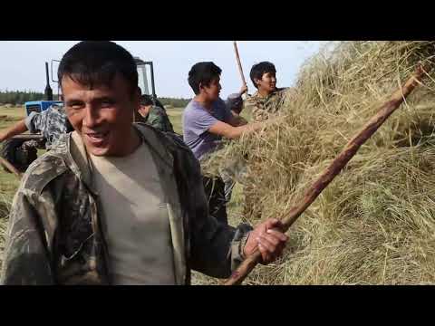 Видео: САЙЫЛЫК БАРАХСАН! Мукучу дьоно-сэргэтэ, олоҕо.