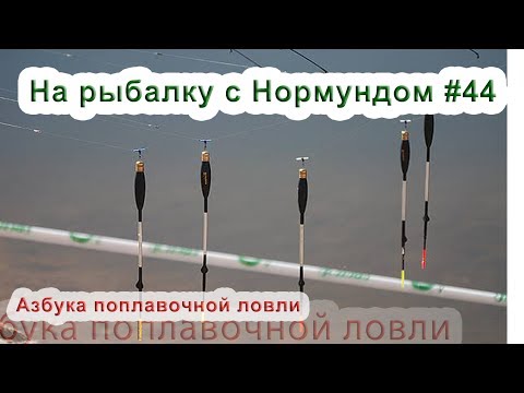 Видео: Азбука поплавочной ловли : На рыбалку с Нормундом #44