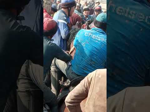 Видео: 20 октября 2025 г.