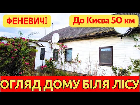 Видео: Правдивий огляд  будинку біля лісу в селі Феневичі