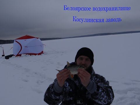 Видео: Зимняя рыбалка. Белоярское водохранилище. "Косулинская заводь"