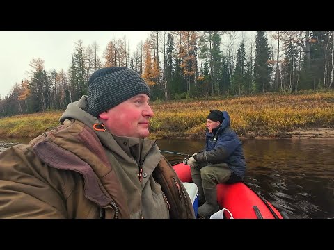 Видео: За щукой поздней осенью. Трофейные щуки атакуют!