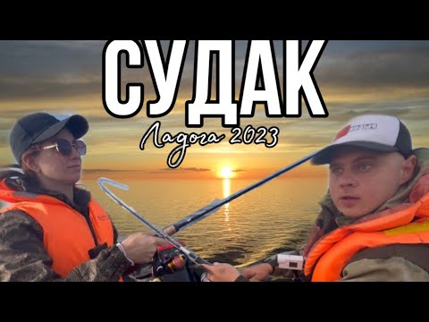 Видео: Судак. Ловля судака на Ладоге 2023. База отдыха Креницы.