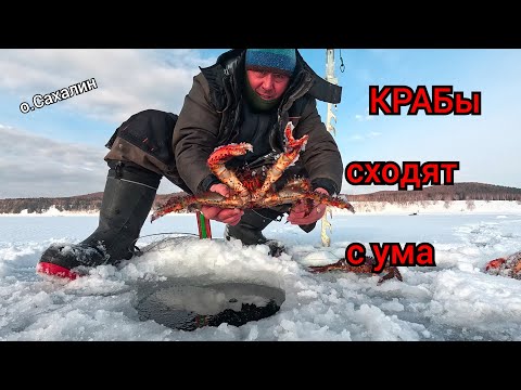 Видео: Эти КРАБы сходят с ума  Закрытие КРАБалки 2025г  Опасный лёд  Охотское море