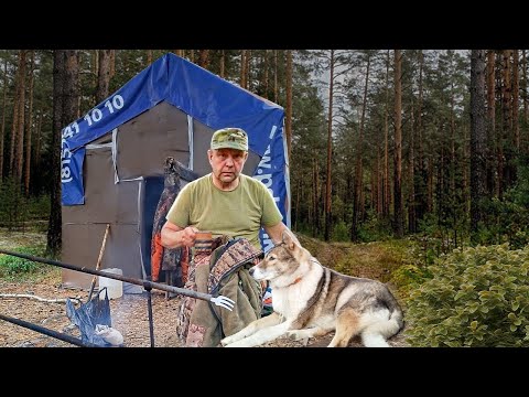 Видео: СупеРыбалка по пути в избу на лесной речке...