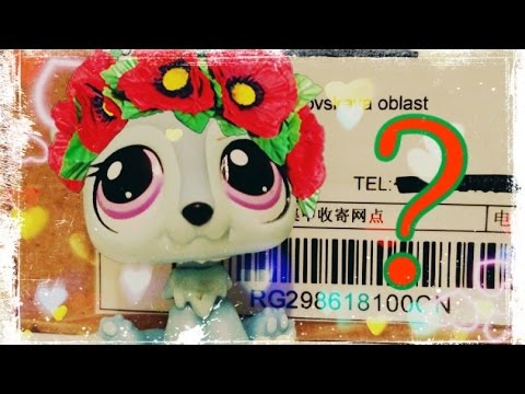 Видео: LPS: ПОСЫЛКА! Раcпаковка и обзор! МНОГО всего!