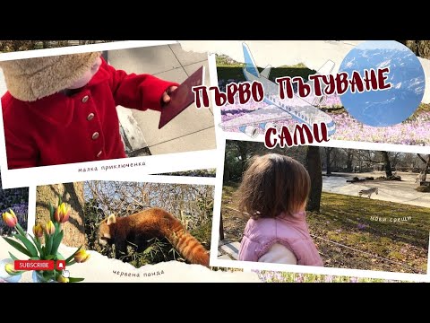 Видео: ПЪРВИ ДНИ В МЮНХЕН🇩🇪 | 🦒ЗООПАРК HELLABRUNN 🐧