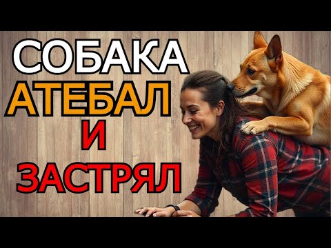 Видео: ЖЕНА ЗАБЫЛА ЗАКРЫТЬ ДВЕРЬ В ВАННУЮ И ТУТ ЗАШЁЛ Я