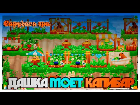 Видео: Capybara spa ► МОЮ КАПИБАР