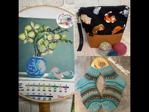 Видео: ​ СП "Бинго-2024"//Отчёт#1