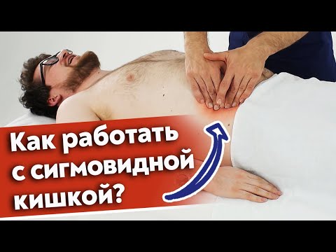 Видео: Как поддерживать сигмовидную кишку в порядке? / Сигмовидная кишка человека