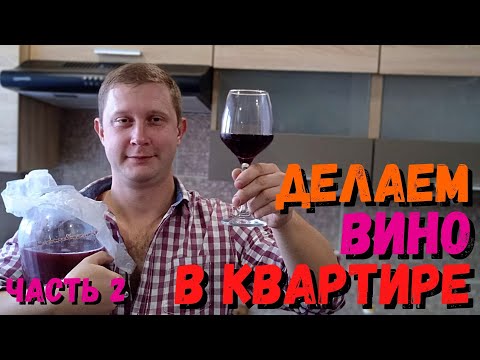 Видео: Полусладкое вино в квартирных условиях часть 2 | из кишмиша Юпитер