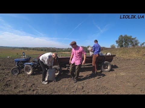 Видео: Один день з життя Льоліка / Збираємо бульбу / Веселе життя в селі