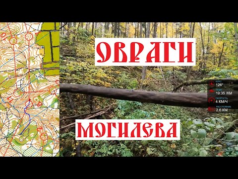 Видео: Спортивное ориентирование (headcam orienteering) - Кубок Могилева 2023, Полыковичи, средняя - 21.10