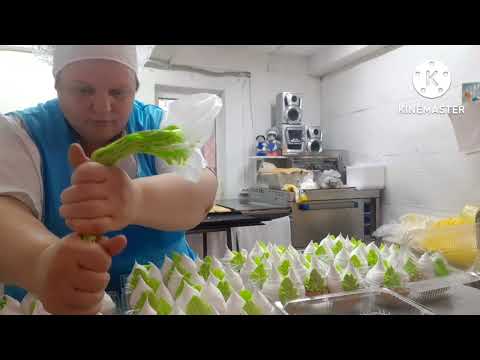 Видео: ТОП ШЛЁП И ПОЛНАЯ КОРЗИНА ГРИБОВ 🍄🍄🍄любимая работа/FAVORITE JOB