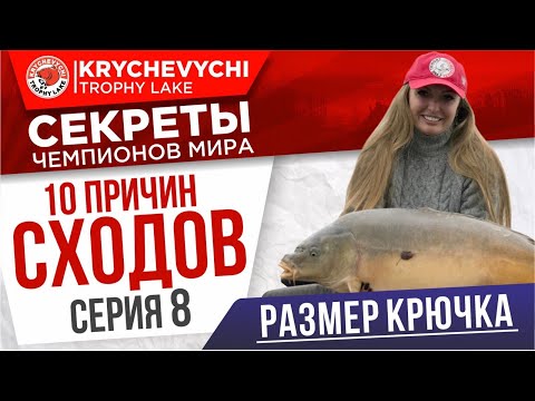 Видео: Серия 8 - размер крючка! УХОДИМ от СХОДОВ!! 10 способов избежать сходов на рыбалке на карпа.