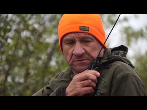 Видео: Охота на кабана с лайками. Очередной кабан (архив).