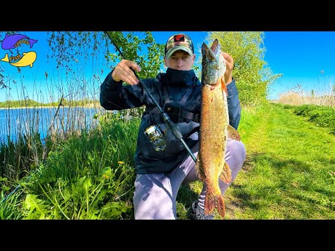 Видео: ТАКУ ЩУКУ ТУТ Я НЕ ЧЕКАВ | ЛОВЛЯ ЩУКИ в ТРАВНІ!!