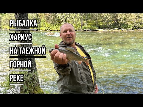 Видео: Поход на рыбалку с ночевкой в таежной избе