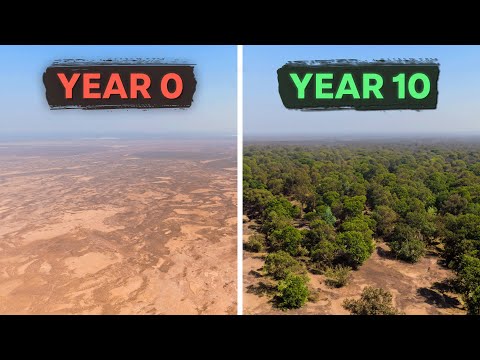 Видео: Как Африка борется с пустыней Сахара