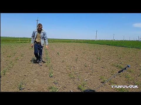 Видео: ❌Часник підпалив а бурьян 🤔не висох гербіцид ФЕРМЕР