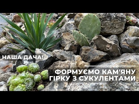 Видео: Формуємо кам'яну гірку з сукулентами. Наша дача!