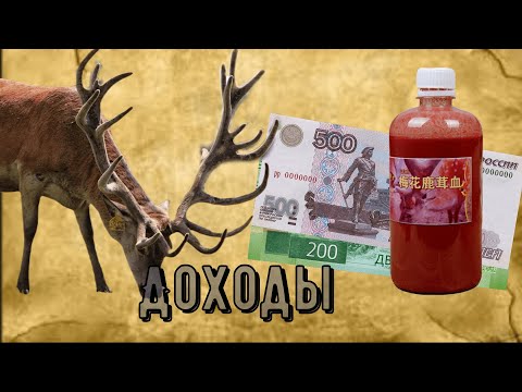 Видео: Оленья ферма. Доходы