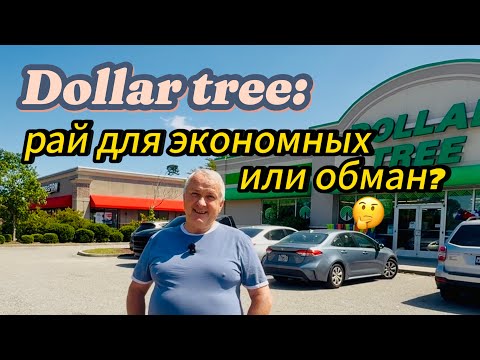 Видео: Dollar Tree - что покупают простые американцы.