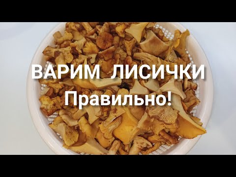 Видео: ВАРКА ЛИСИЧЕК ПЕРЕД ЗАМОРОЗКОЙ!