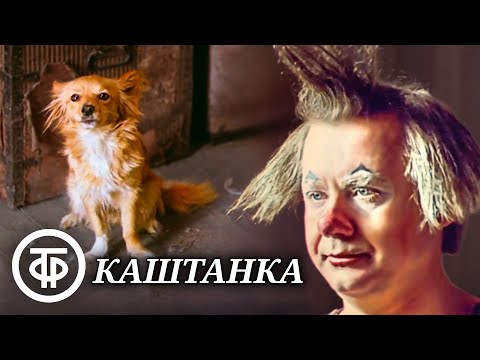 Видео: Каштанка. Экранизация рассказа А.П.Чехова (1975)