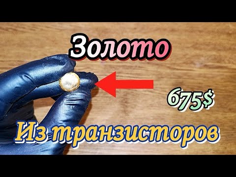 Видео: Чистейшее Золото из 1 килограмма транзисторов КТ830! #gold #золото