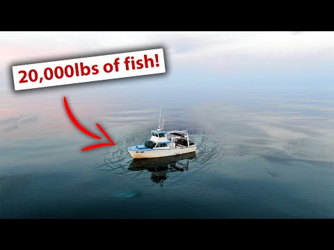 Видео: Мир коммерческого рыболовства, о существовании которого мало кто знает
