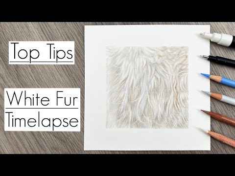 Видео: Рисуем белый мех на белой бумаге цветными карандашами / Лучшие советы / Таймлапс