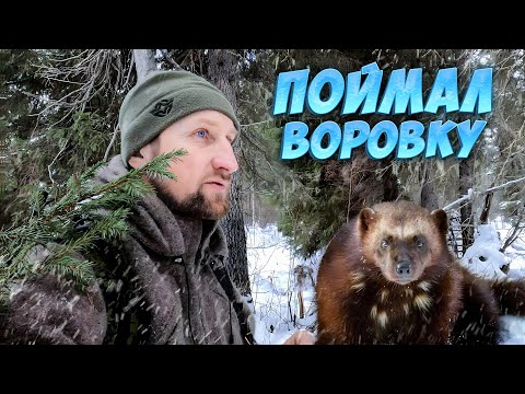 Видео: ЖИЗНЬ В ТАЕЖНОЙ ИЗБЕ. БЫТ, РЫБАЛКА И ОХОТА.