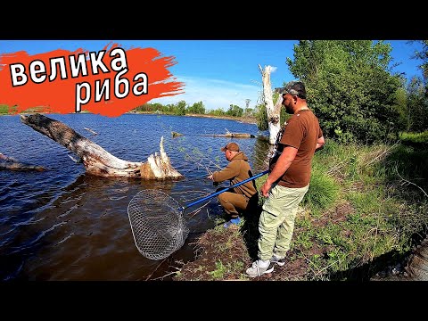 Видео: Рибалка на Велику Рибу !!!