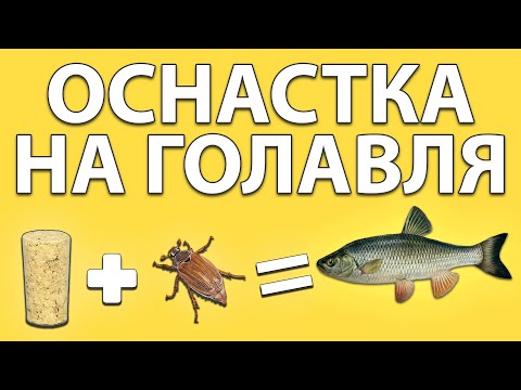 Видео: Хитрая и очень простая оснастка на голавля. Советы рыболова