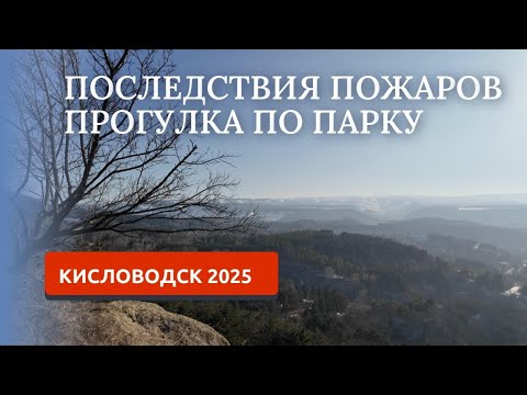 Видео: Кисловодск 2025. Курортный парк, зимняя красота.