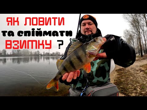 Видео: ЧИ КЛЮЮТЬ ОКУНІ В КИЄВІ?  Риболовля на спінінг з берега на Дніпрі