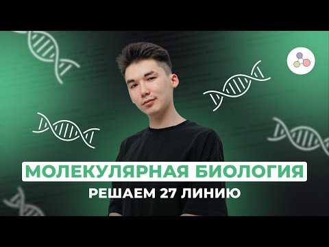 Видео: Разбор задач 27 линии. Палиндромы // БИОЛОГИЯ // ЕГЭ-2024 // NEOFAMILY