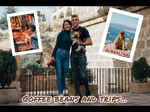 Видео: ЗИМА В АНДАЛУСИЯ |  МАЙМУНИ, ДЮНИ И МОРЕ