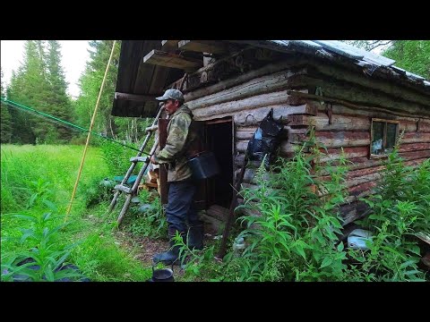Видео: ЗАЕЗД В ТАЙГУ С НОЧЁВКОЙ / ЖИВЁМ В ИЗБУШКЕ У МАЛЕНЬКОЙ РЕЧКИ / СКОРОСОЛКА ИЗ ХАРИУСА ПО ЛЕСНОМУ.