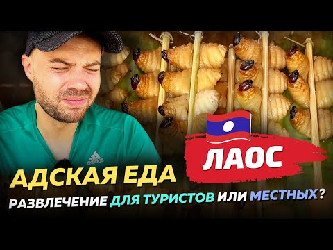 Видео: Адская еда в Лаосе. Развлечение для туристов или для местных?