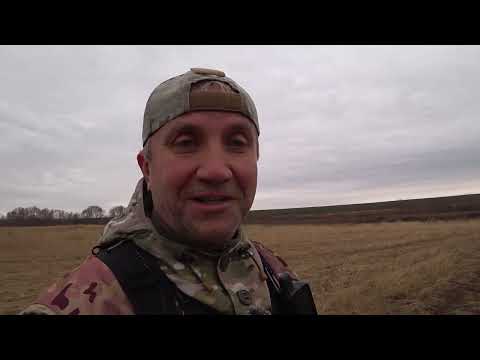 Видео: Охота на зайца в отдалённых краях