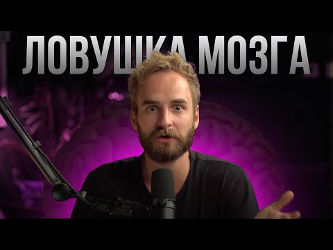Видео: 🎙️ Почему глупые успешнее умных в бизнесе?