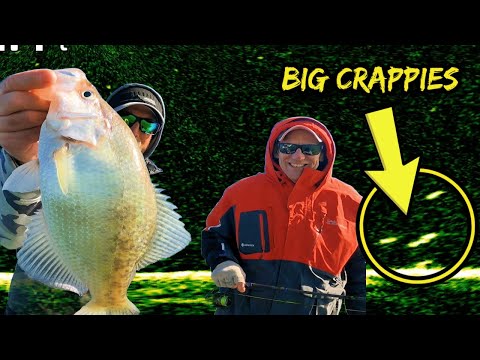 Видео: САМЫЙ ВЕСЕЛЫЙ УЛОВ НА КРАППИ в Канзасе с LIVESCOPE!!