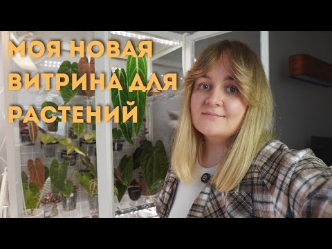 Видео: 🌿МОЯ НОВАЯ ВИТРИНА ДЛЯ РАСТЕНИЙ | IKEA MILSBO | ГДЕ ПОКУПАЛА, ЗА СКОЛЬКО и КАК ОБОРУДОВАЛА🌿